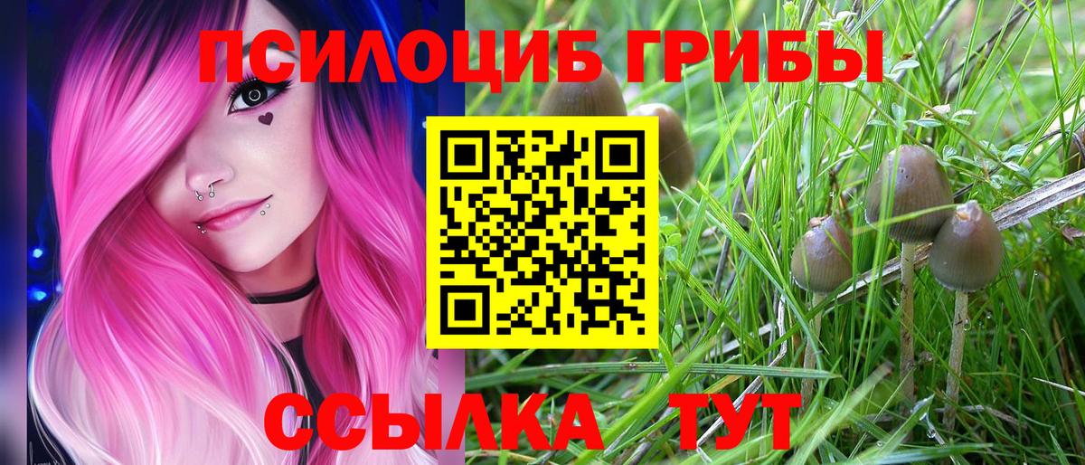 Галлюциногенные грибы прущие грибы  Вход с VPN  Алушта 